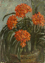 collectie Henk Fortuin 0241